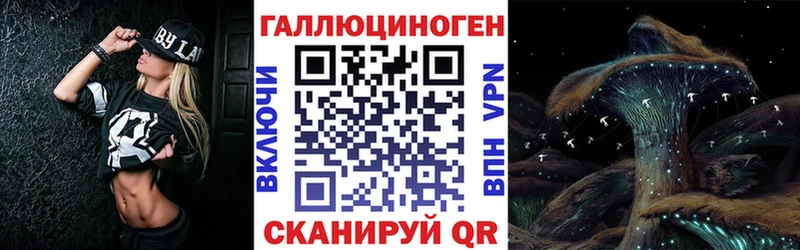 Купить закладки  Сусуман  Галлюциногенные грибы Psilocybe 